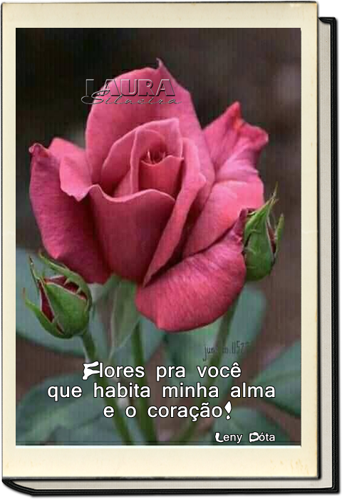 laurasilveira630503eebf9a8.png