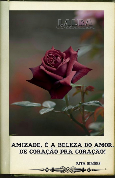 laurasilveira6307c470eaa41.png
