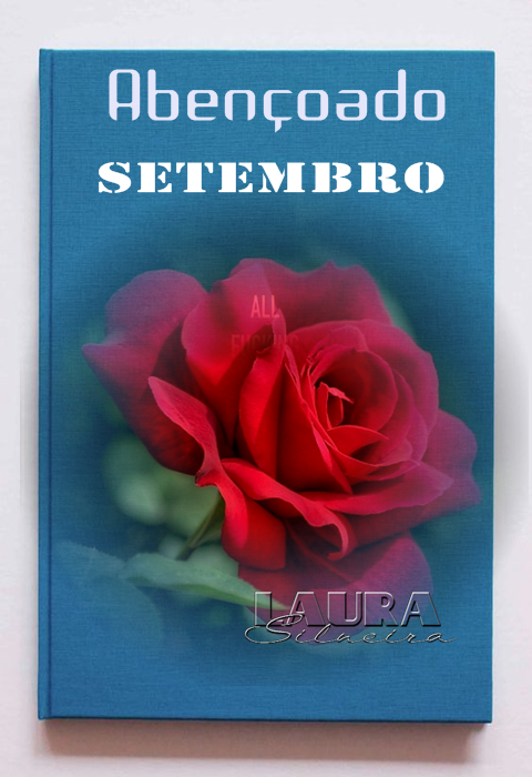 laurasilveira63121966bc936.png