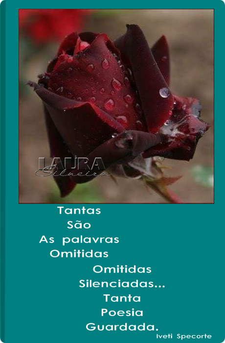 laurasilveira631638c914ca9.png