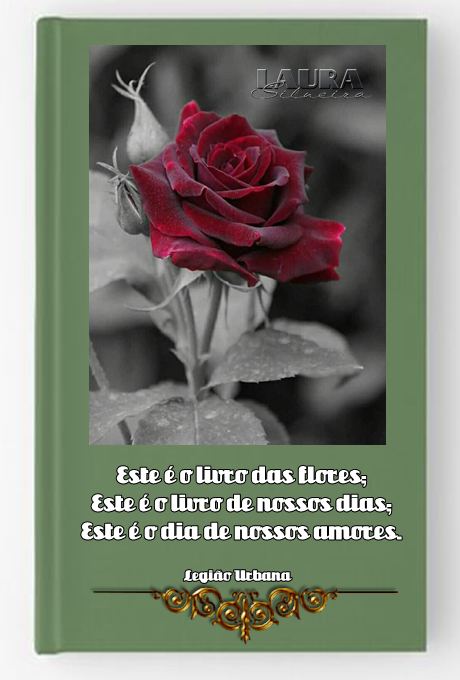 laurasilveira631cbb3aef455.png
