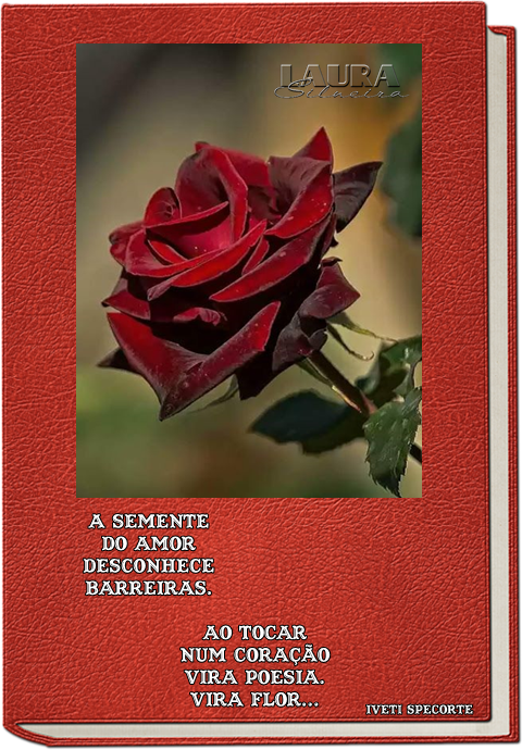 laurasilveira6329ea552389f.png