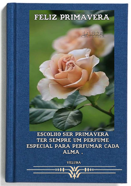 laurasilveira632f079133d2d.png