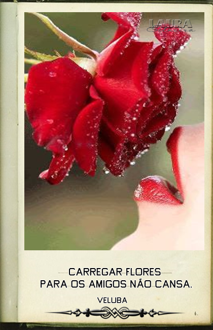 laurasilveira6331cbfa31a90.png