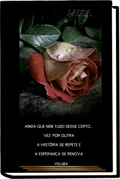laurasilveira6331f57e3bd33.png