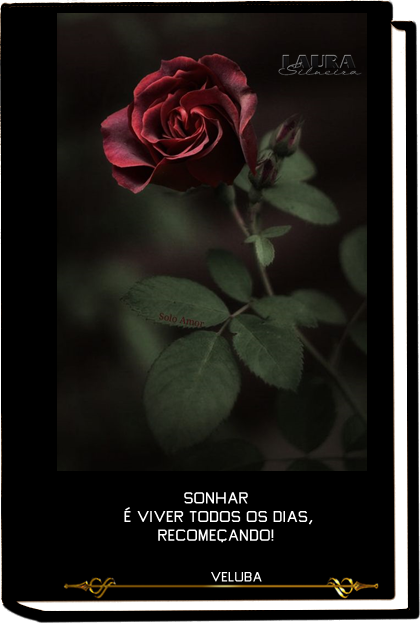 laurasilveira6331fb8ea453d.png