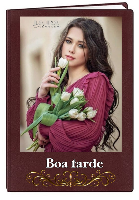 laurasilveira6335dfcadcc6e.png