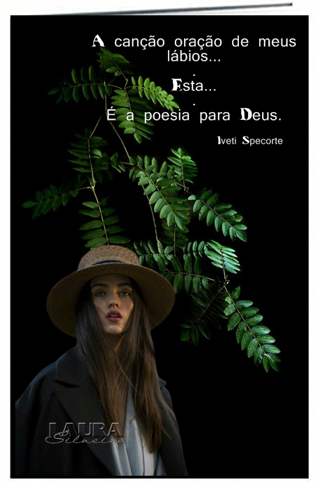laurasilveira63407336e32d8.png