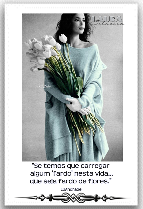 laurasilveira63499abd93729.png