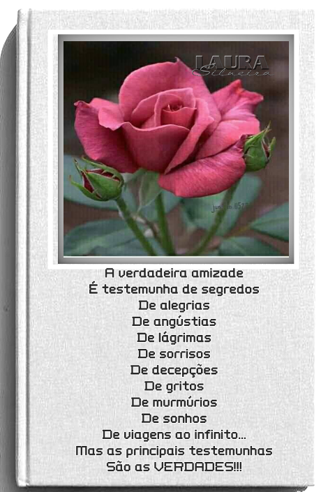 laurasilveira6352c5b4497b3.png