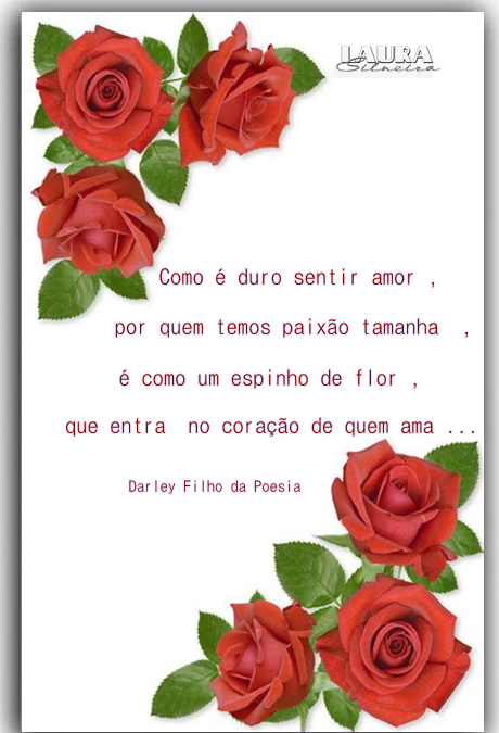 laurasilveira6364118952c13.png