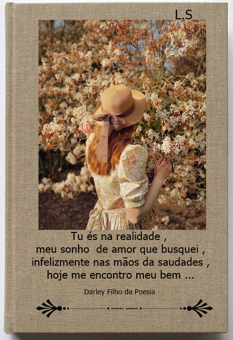 laurasilveira6365629dcaebc.png
