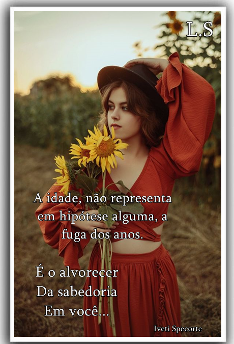 laurasilveira636bd8db3f710.png