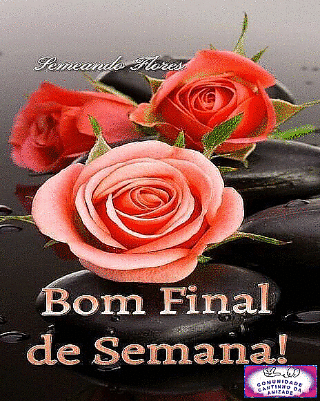 httpwwwcomunidade-cantinho-do-souza63606