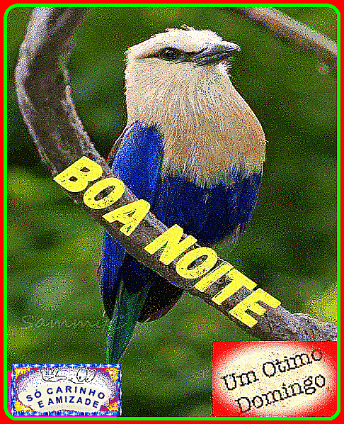 recanto-das-amizades638c0ee0e6d66.gif