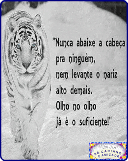 recanto-das-amizades63b60fd94466c.gif