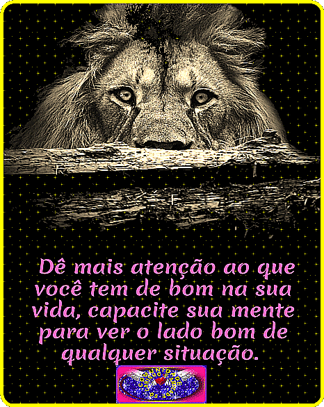 recanto-das-amizades63f57edf5258d.gif