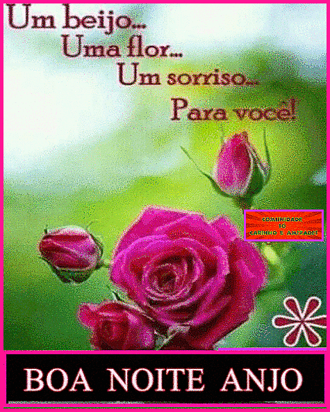recanto-das-amizades63fc3294553a5.gif