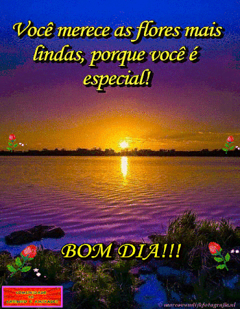 recanto-das-amizades64193197bd517.gif