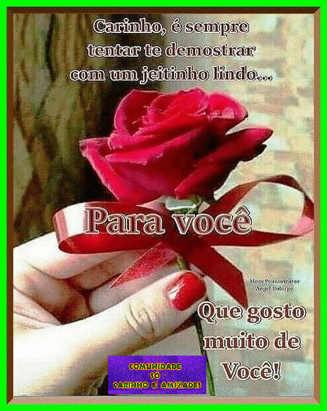 recanto-das-amizades643f4bd1c2790.gif