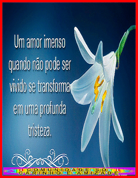 recanto-das-amizades64b8987644251.gif