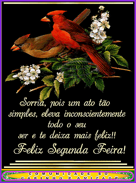 recanto-das-amizades64fd1ff6a5871.gif