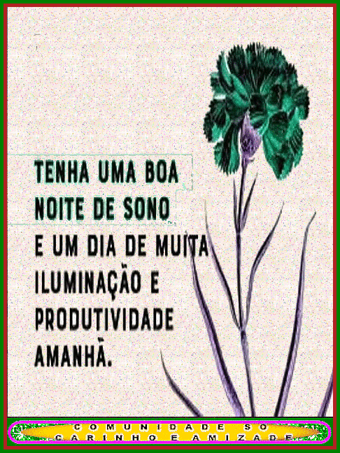 recanto-das-amizades669f1147a8036.gif