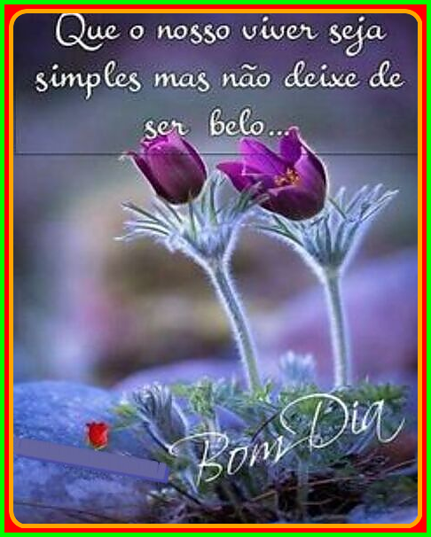 recanto-das-amizades66d522d4d357f.png