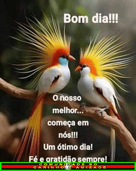 recanto-das-amizades66ebbc66256a5.gif