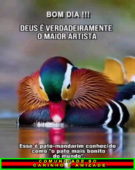 recanto-das-amizades66ebc1f863e5e.gif