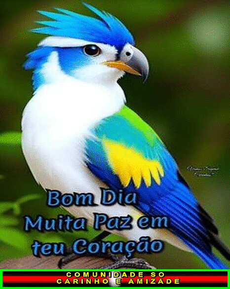 recanto-das-amizades66ebc67261dc4.gif