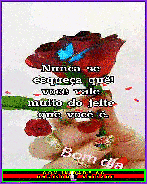 recanto-das-amizades6715e30a5de5f.gif