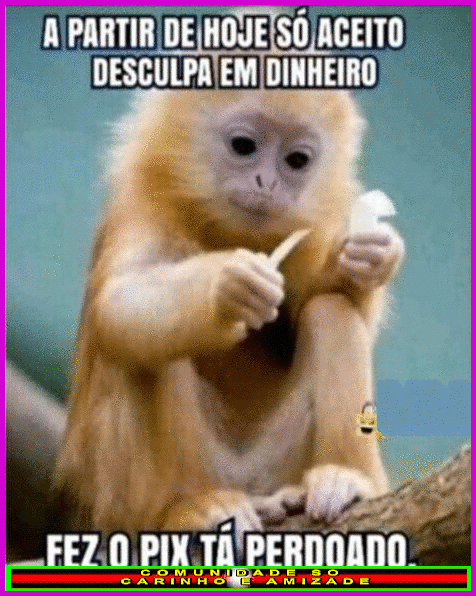 recanto-das-amizades67550719bb8f9.gif