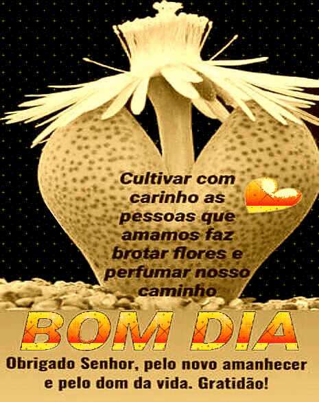 recanto-das-amizades67bfe4dd1a7ee.gif