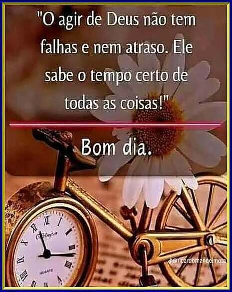 recanto-das-amizades67f34bf9b6e5f.jpg