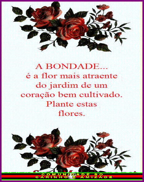 recanto-das-amizades681aa653e998a.gif