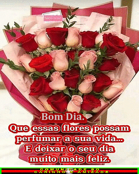 recanto-das-amizades682fef82b50f7.gif