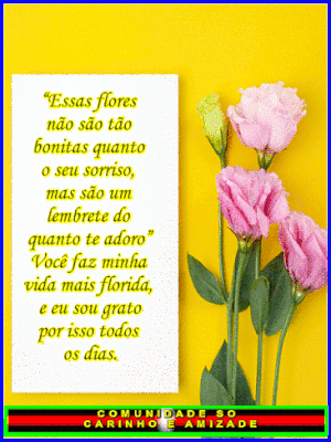 recanto-das-amizades6837d13d0871a.gif