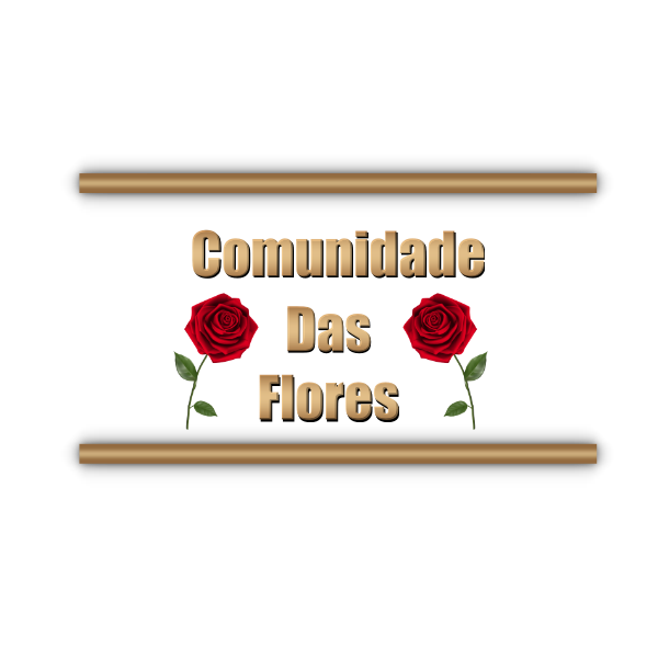 maria-de-fatima-de-freitas6377e735d9122.