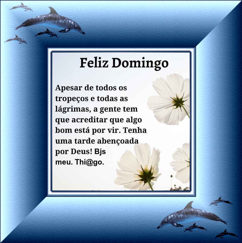 tiago-medeiro634c2dda236ce.png