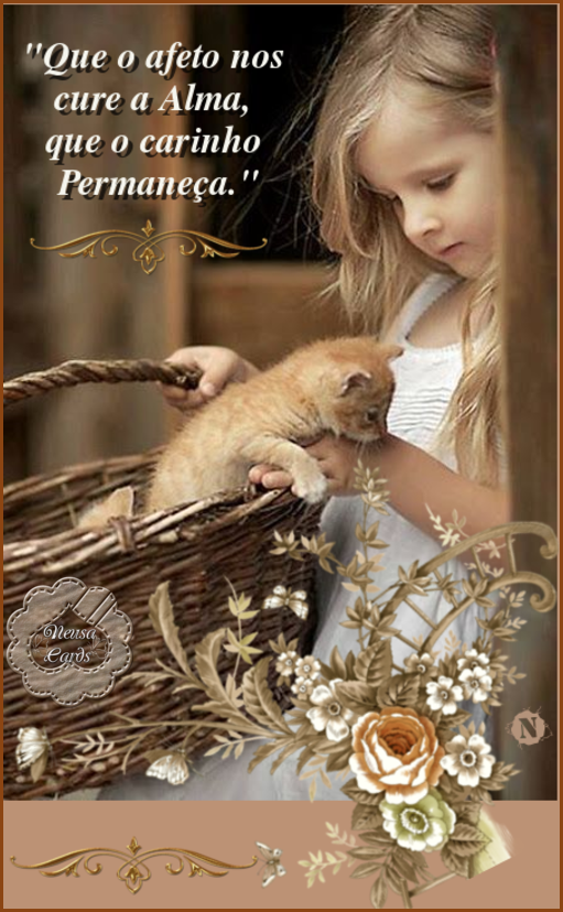 denardineusaatbolcombr601f3d9b06ead.png