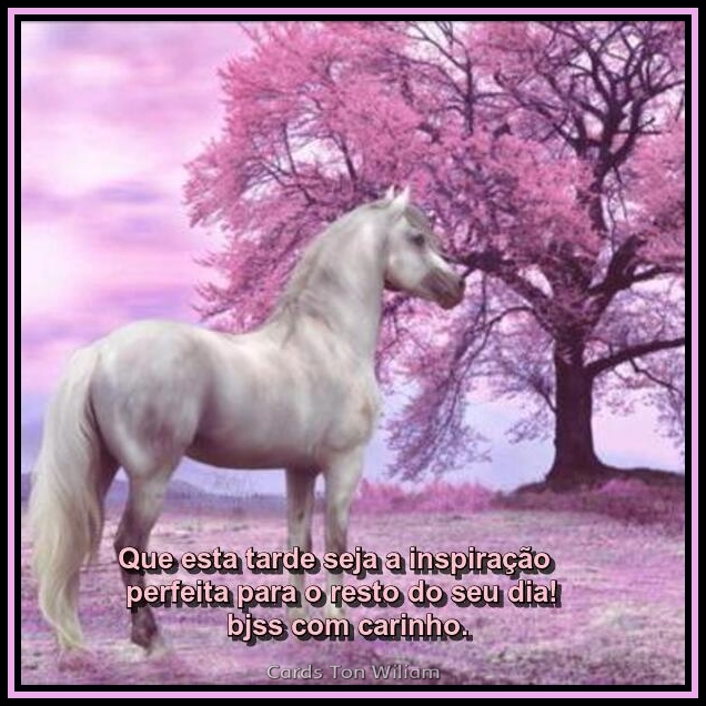 zorro-1601208d20a9da.jpg