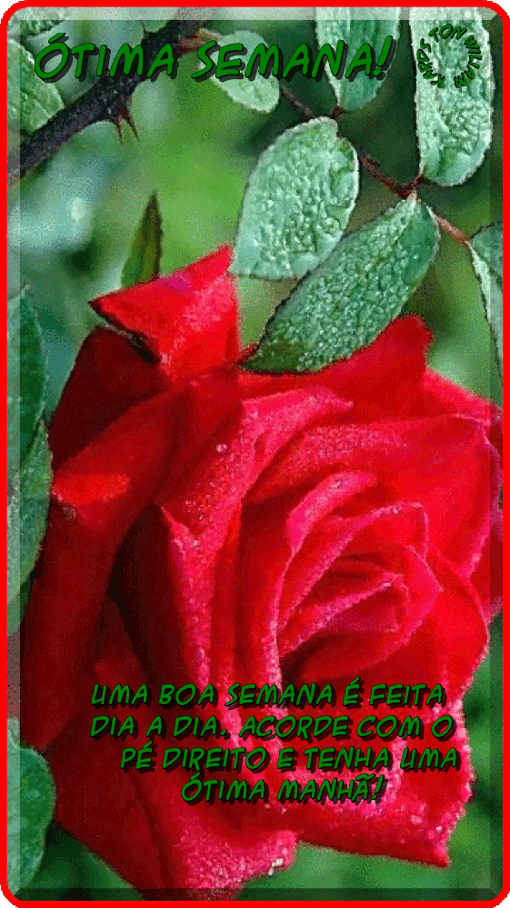 zorro-160b3c80107b14.gif
