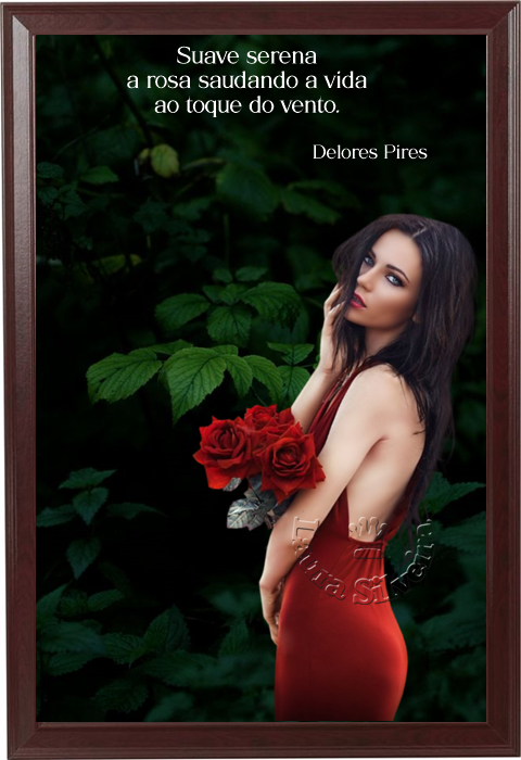 laura-2640a3e961a854.png