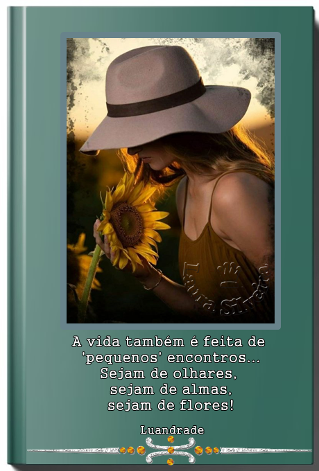 laura-264385b355b811.png