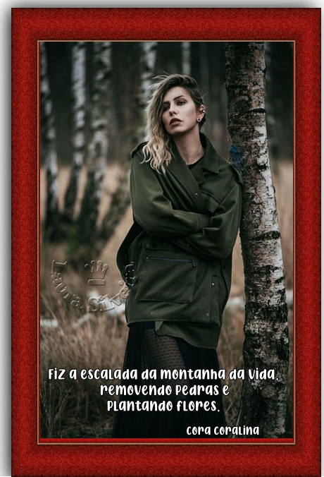 laura-26447fcf5a1946.png