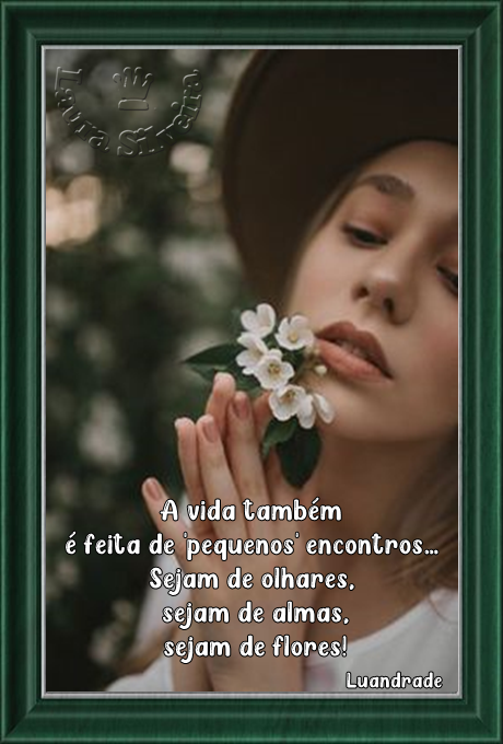 laura-2645bb600550cd.png
