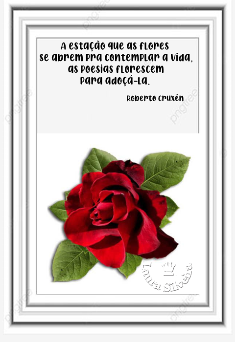 laura-2647b58f96a475.png