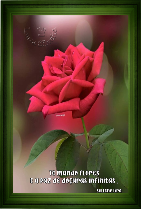 laura-2647e27d33f06f.png
