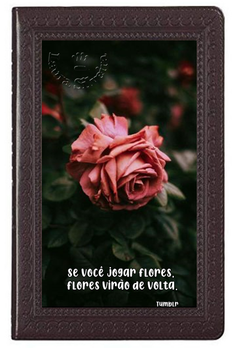laura-264820eef3f140.png
